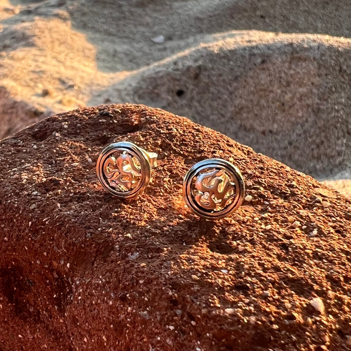 Aretes de Plata | Om