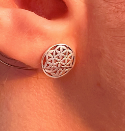 ARETES DE PLATA 925